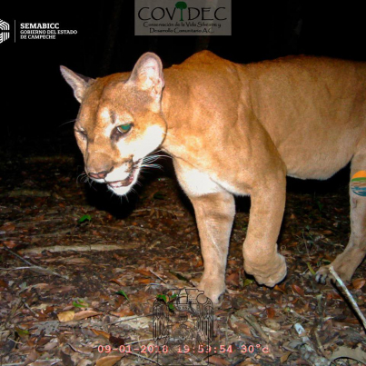 242490625_3020481551570024_8587247122197050915_n