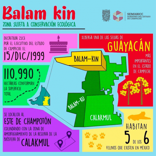 242603390_3019767691641410_3840464588811069270_n