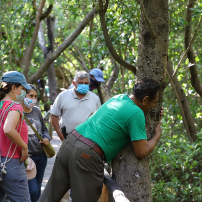 257688230_3064109157207263_7175469769071856246_n