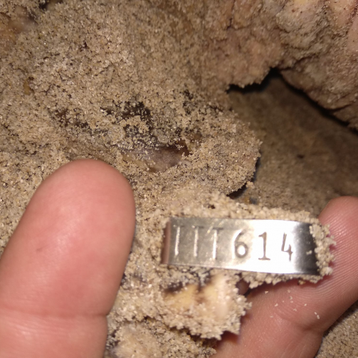 279954657_315413074045975_798491261406675464_n