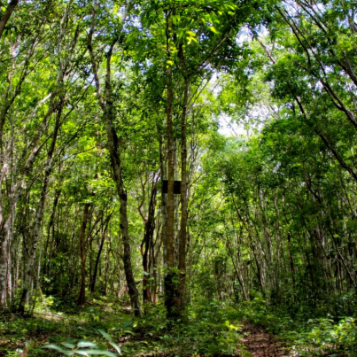 293276769_360617222858893_8250339979307272662_n