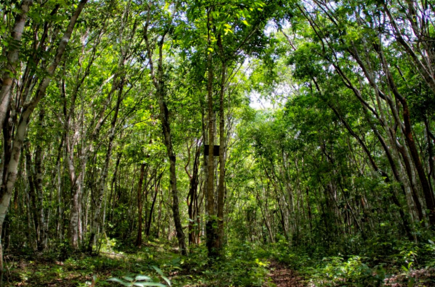 293276769_360617222858893_8250339979307272662_n