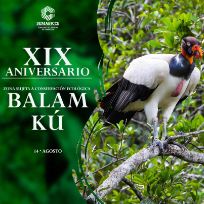 299493842_382205967366685_4900403020037882701_n