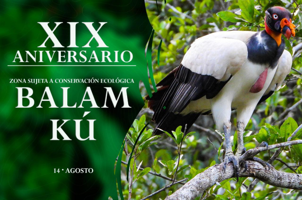 299493842_382205967366685_4900403020037882701_n