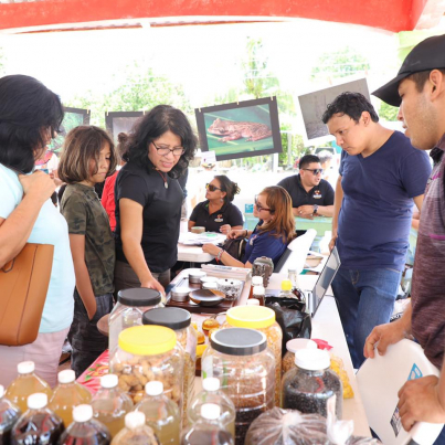 299604026_383063130614302_7743638452801683210_n