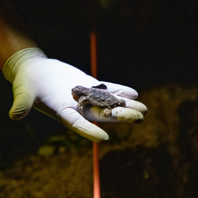 300958024_388435346743747_3081002671800080416_n