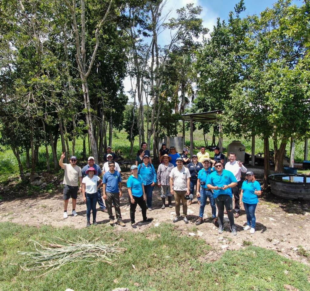 302227381_391071733146775_1712996243822416261_n