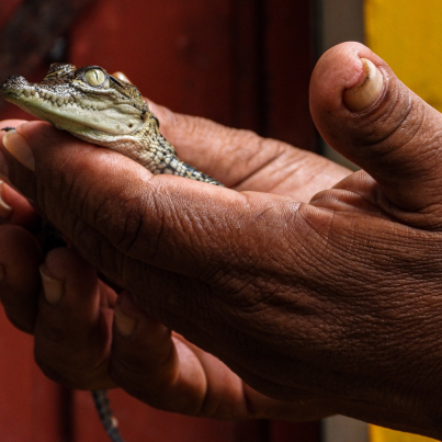 312349296_428439959409952_6828193139029965371_n