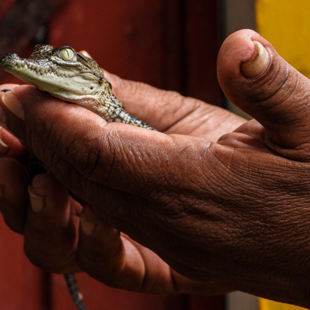 312349296_428439959409952_6828193139029965371_n