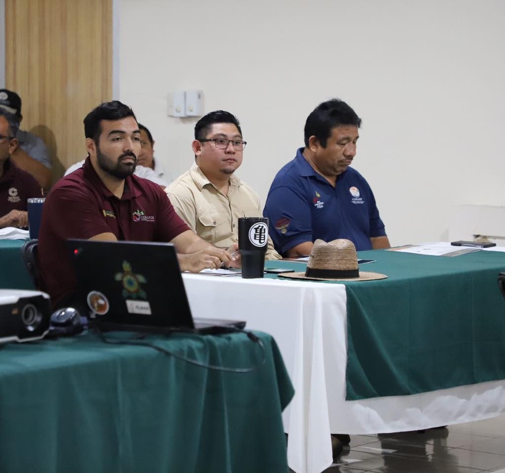 312417153_429401135980501_8848115983316227091_n