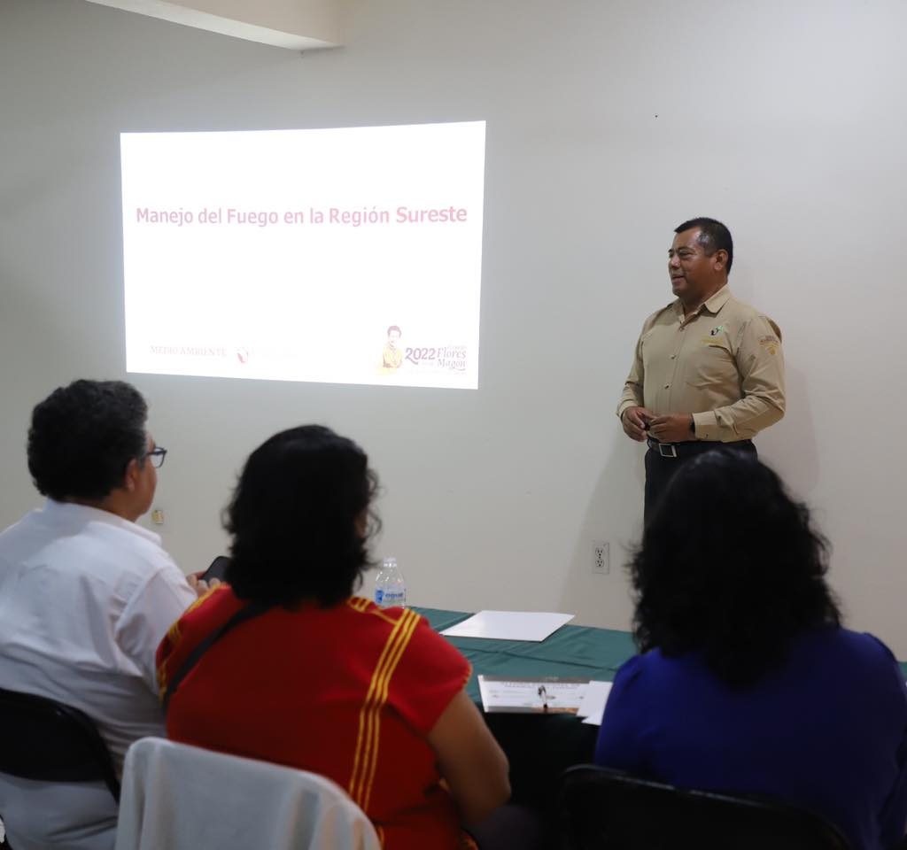 312488077_429401105980504_6824447298976743134_n