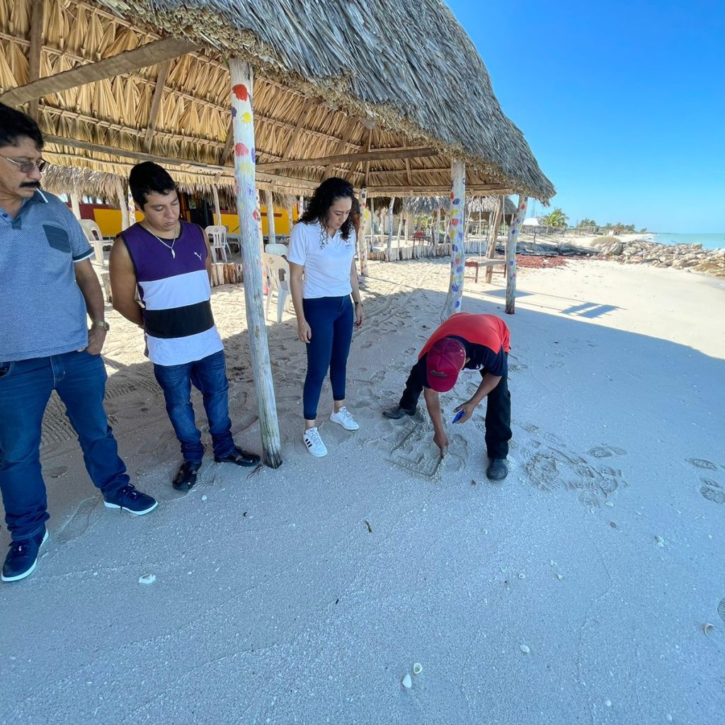 315693916_447362477517700_4686669265401629920_n