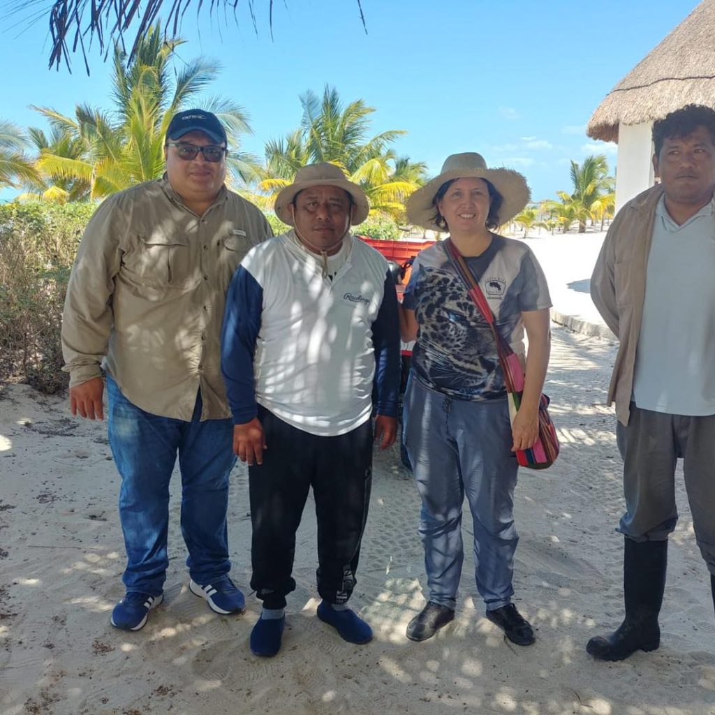 332854878_892661018668939_1234011958150920189_n