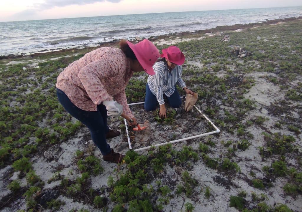 332869123_1654932584925581_7531708354467492008_n