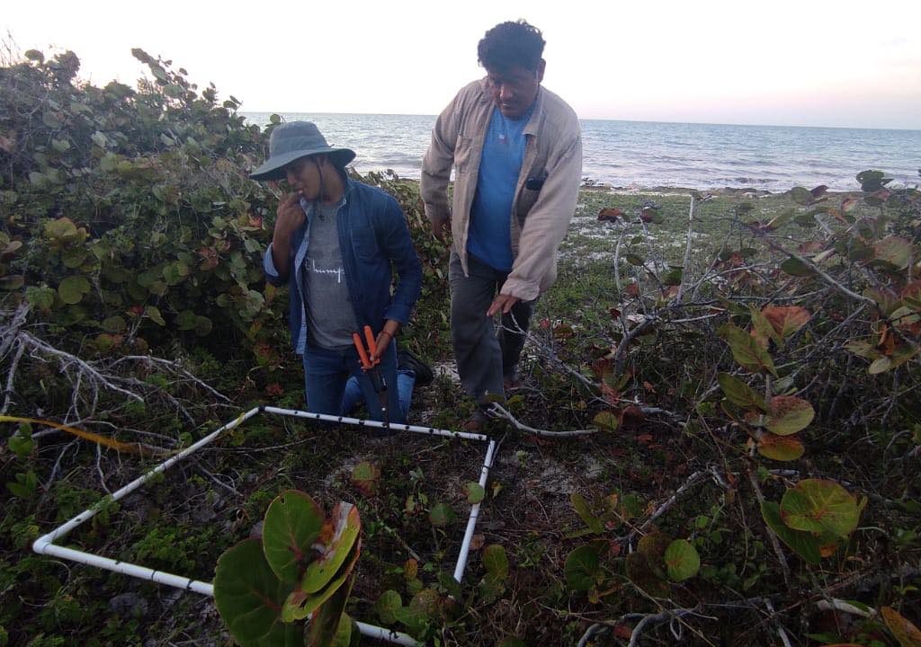 332885559_585598346771549_6244041223538446510_n