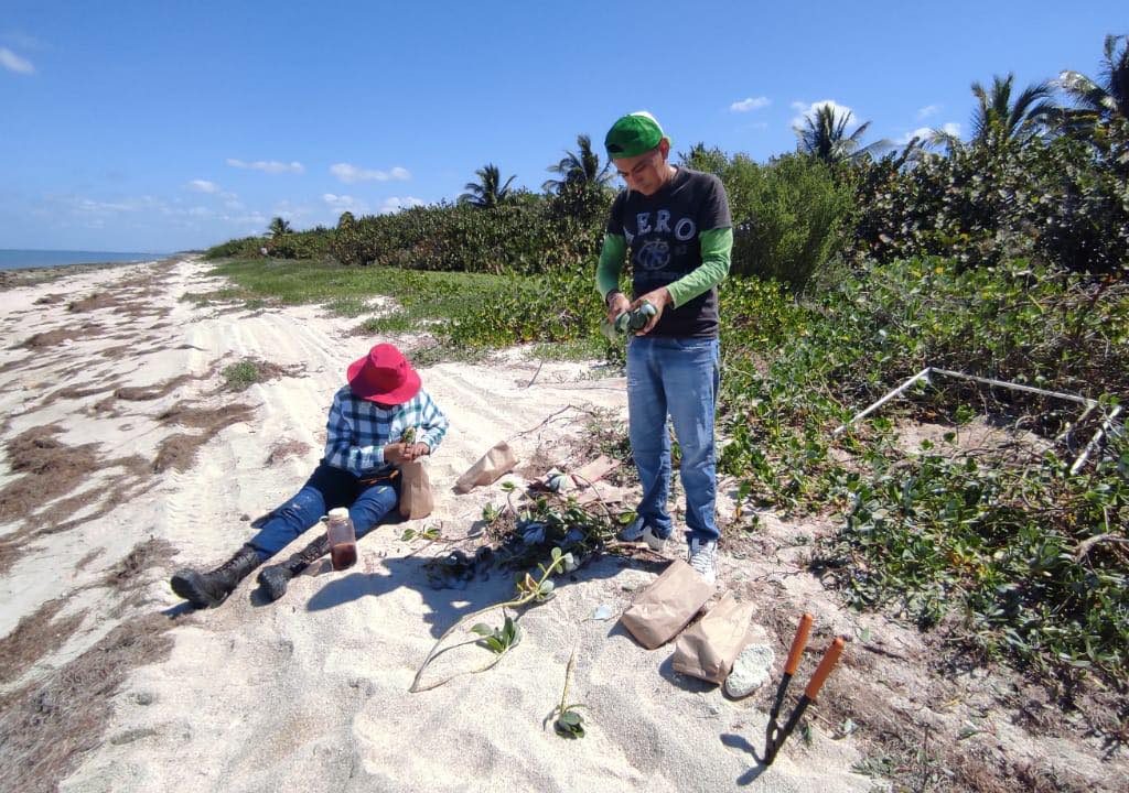 332922166_935329081237538_4876991427324856257_n