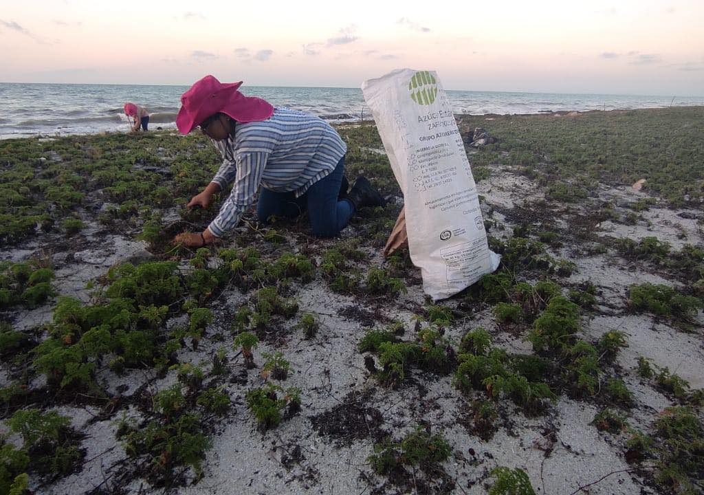 332929448_921099475711325_1817216648317617280_n