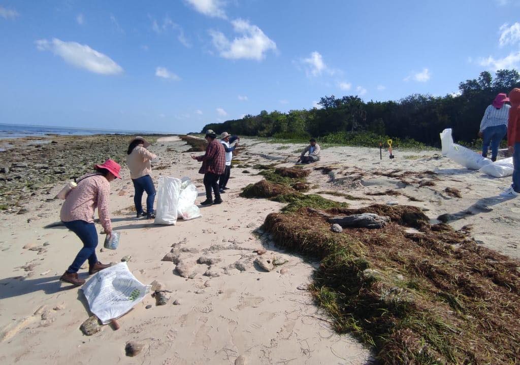 332944927_698188175425357_7221892635335029066_n