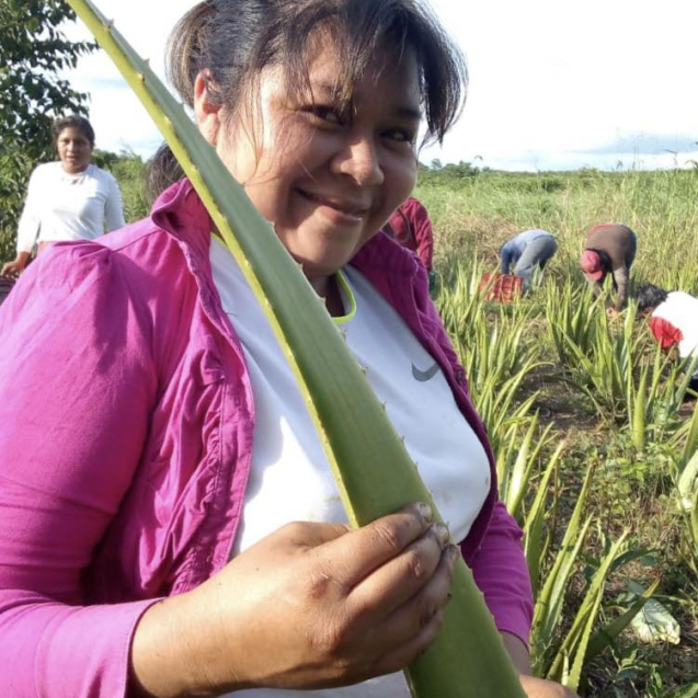 330795399_153100583941025_7025268366617135724_n