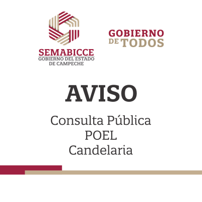 Consulta-pub-poel-candelaria