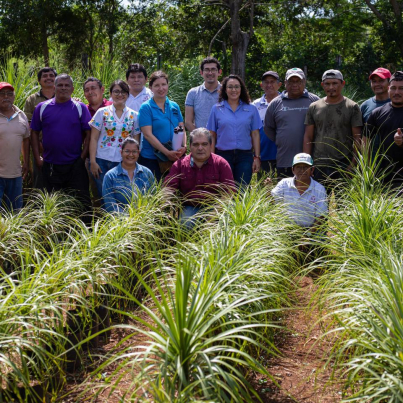 400673943_649117537342192_7301837052098322680_n