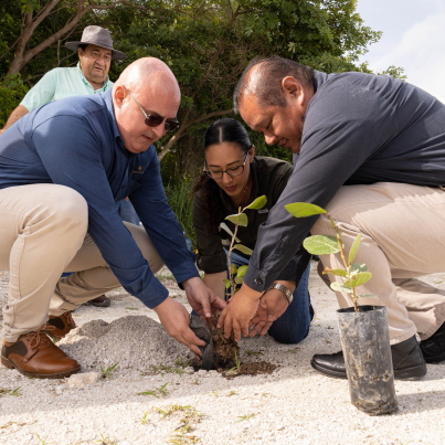 453616281_796392082614736_2485094346913632271_n