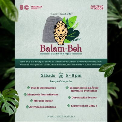 466796874_869121935341750_4059568989949509112_n