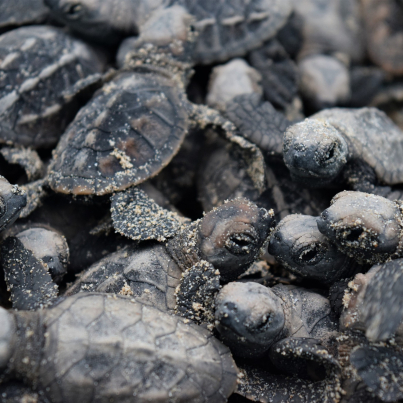 467716959_875461451374465_3248508274382232260_n