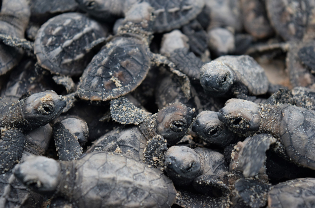 467716959_875461451374465_3248508274382232260_n