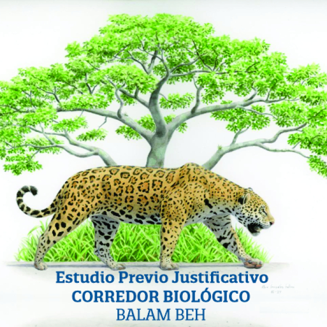 EPJ-Corredor-Balam-Beh-
