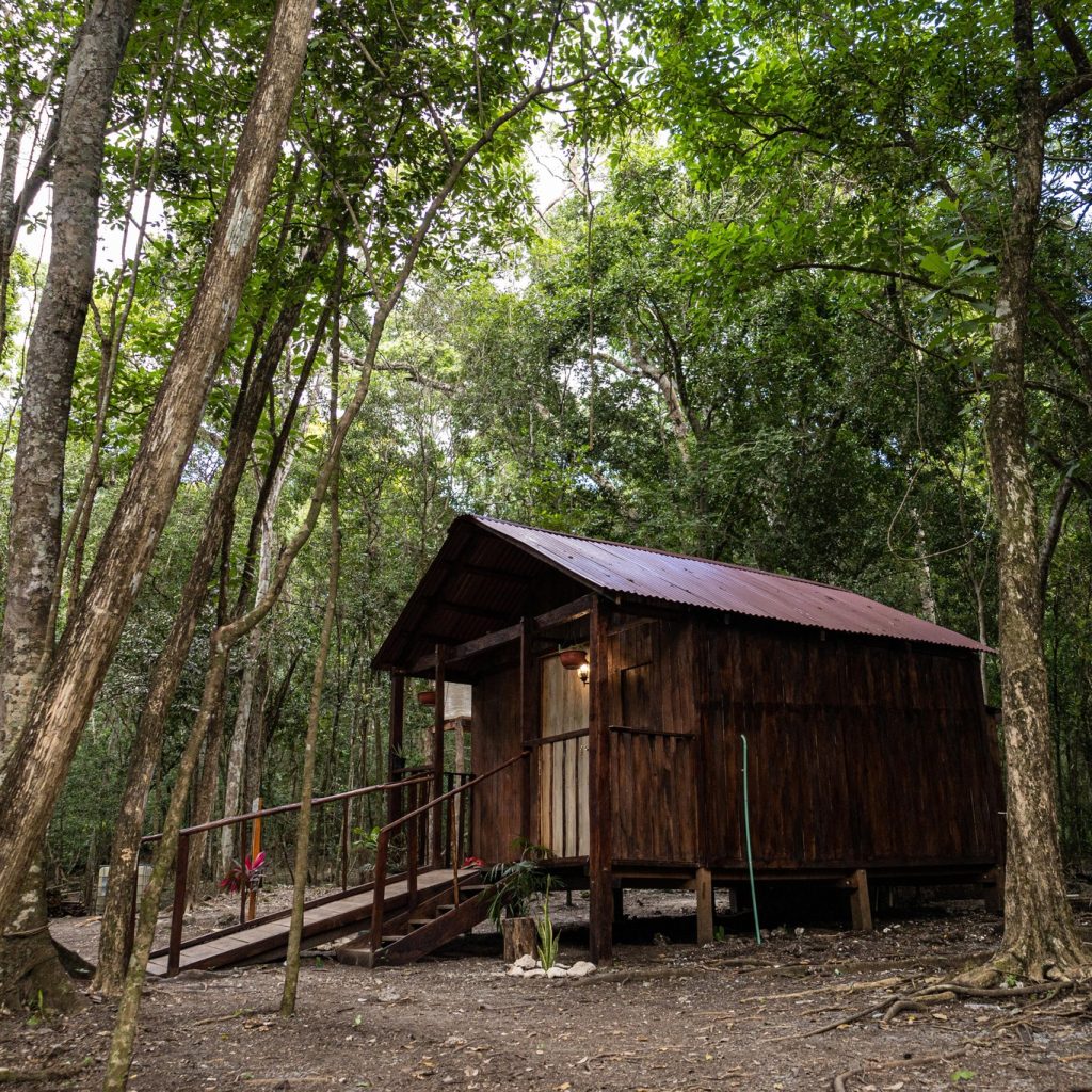 469780941_886943083559635_995674202472340979_n