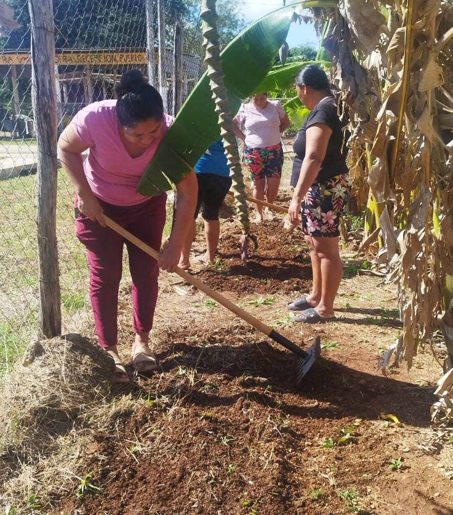 481079220_935636908690252_7381720871255662767_n