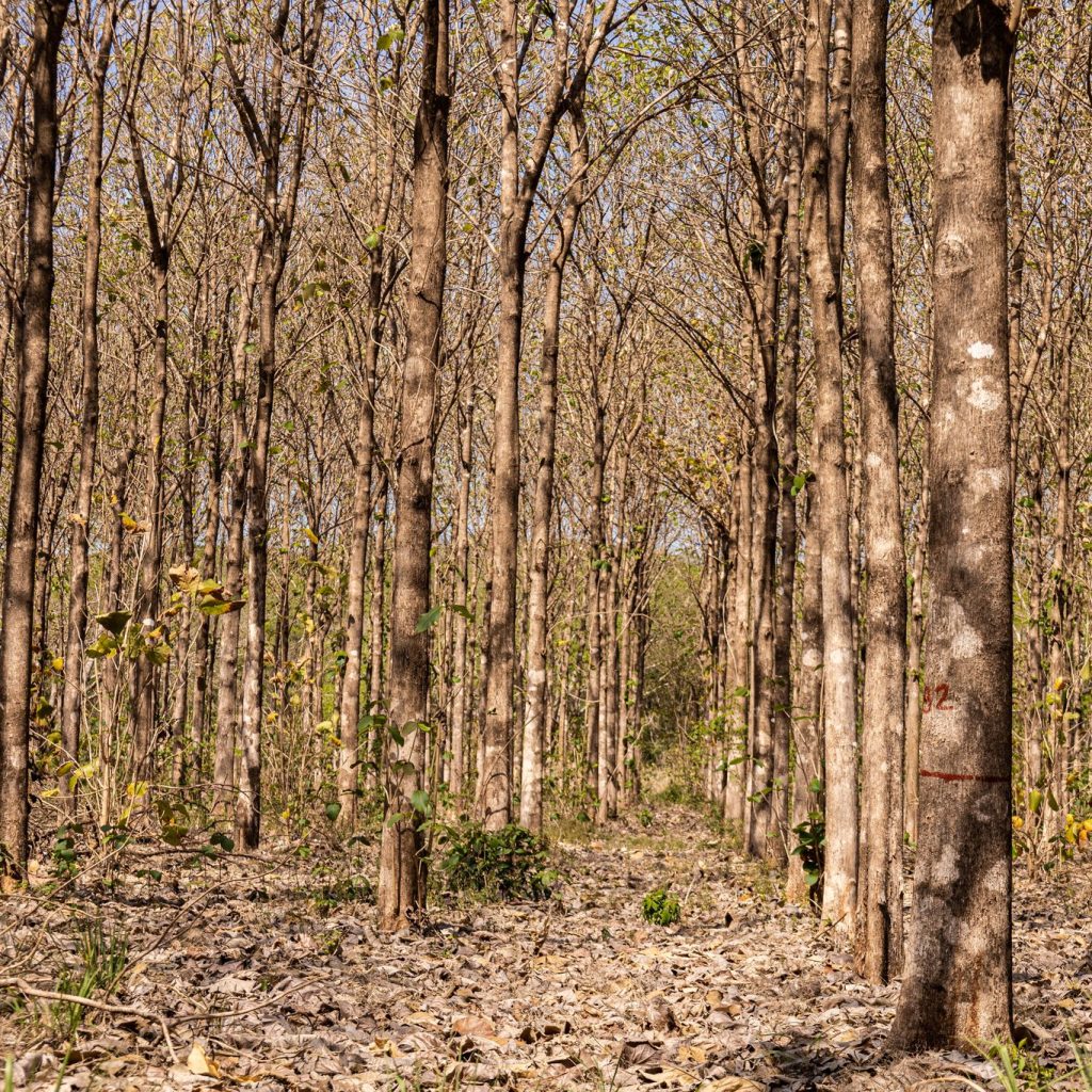 484948523_957929866460956_3077285461870705843_n