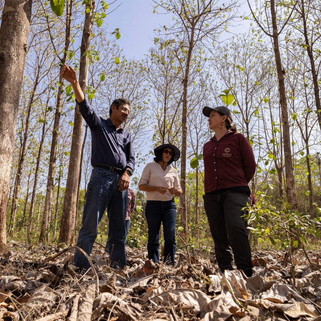 485048829_957928313127778_4408914648787131793_n