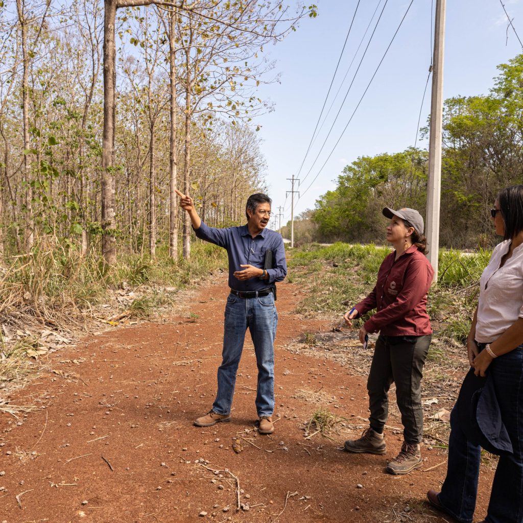 485062127_957929856460957_3070558074274921027_n