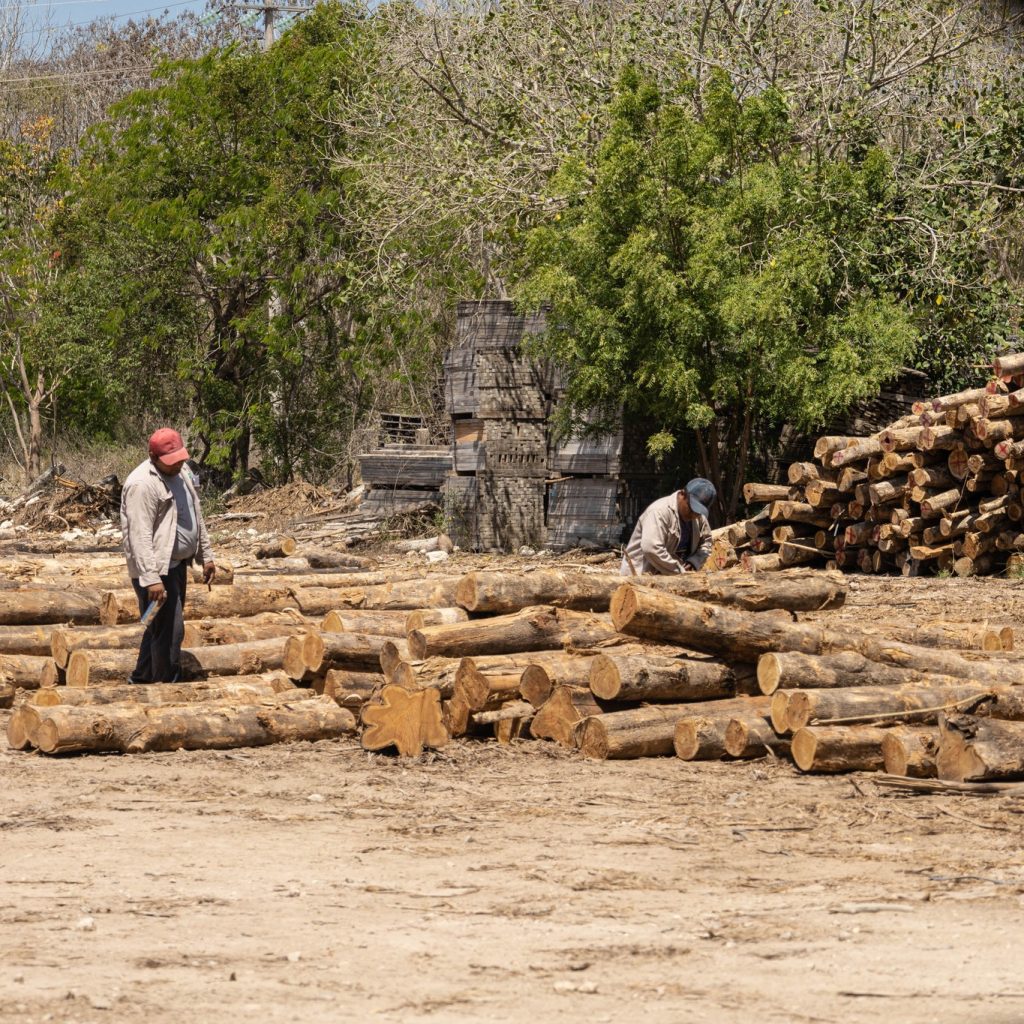 485150648_957930039794272_4810177840737702529_n