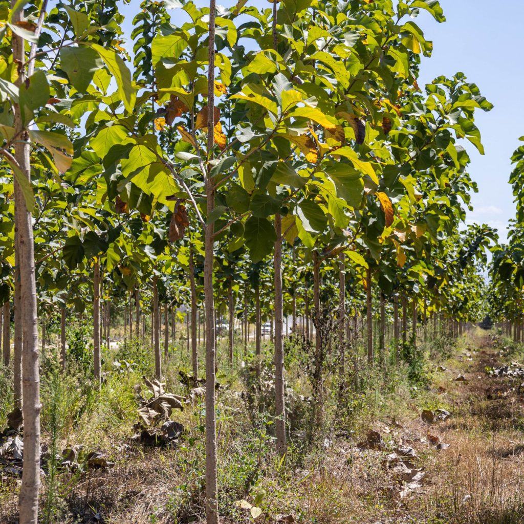 485800245_957929296461013_6640988862339418447_n