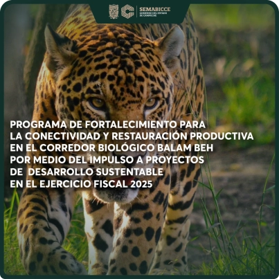 Web - Corredor Biológico-01