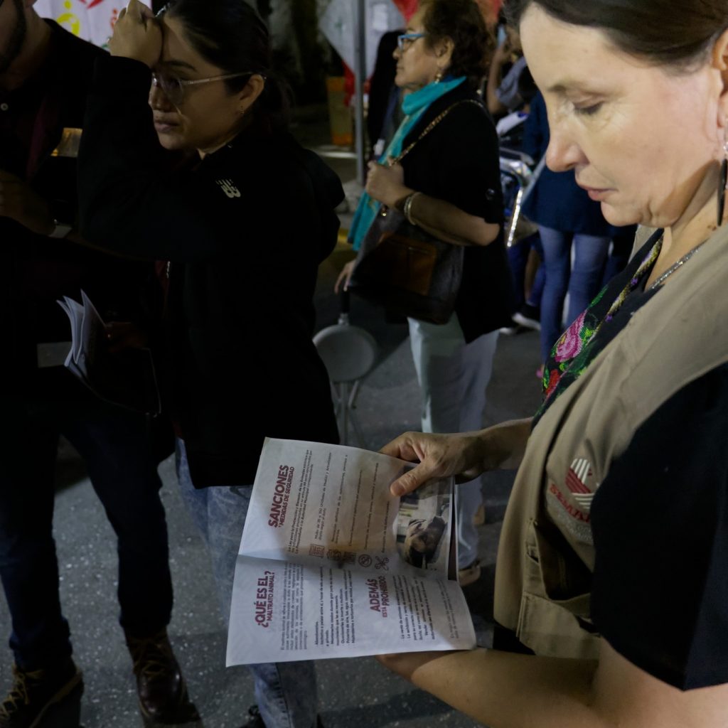 612228885_1177140387873235_5668597804419554310_n