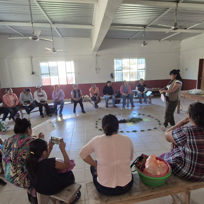 627672844_1199863155600958_5918419413431731847_n