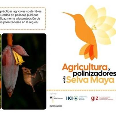 642373941_1218322063755067_3512895638248990875_n