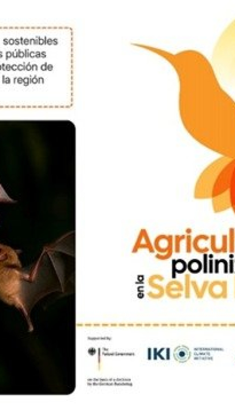 642373941_1218322063755067_3512895638248990875_n