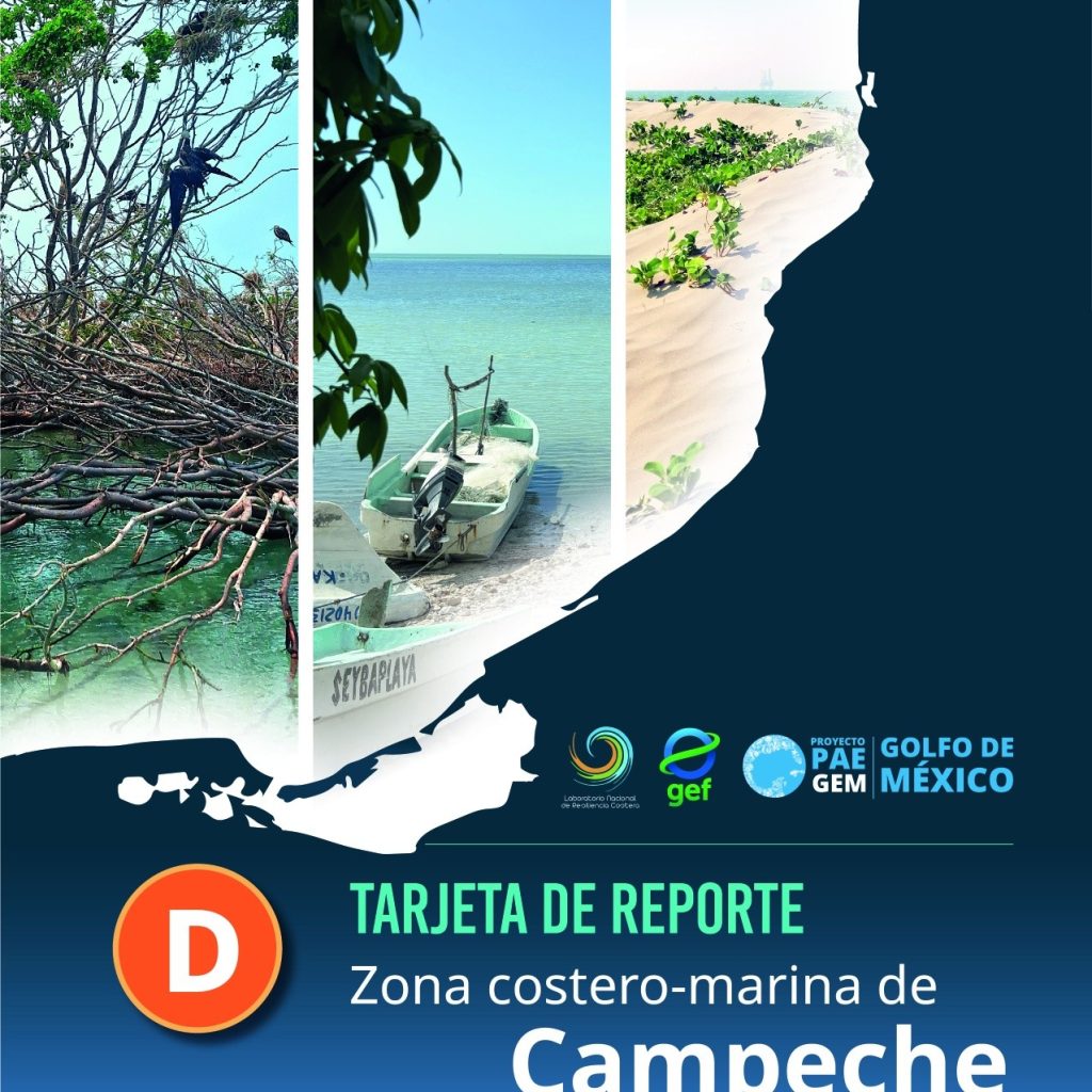 655598674_1237474631839810_7698481206033993325_n