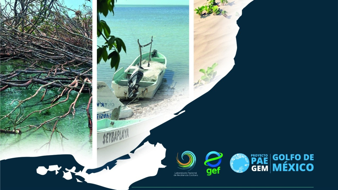 655598674_1237474631839810_7698481206033993325_n