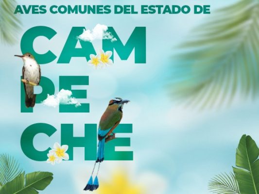 Banner-avescomunes